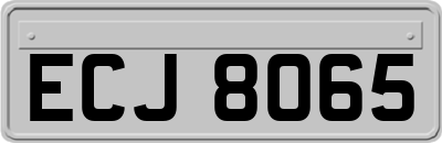 ECJ8065