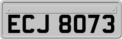 ECJ8073