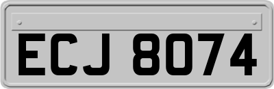 ECJ8074