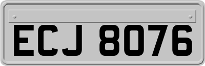 ECJ8076