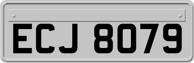 ECJ8079