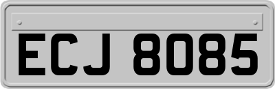 ECJ8085