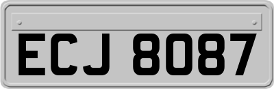 ECJ8087