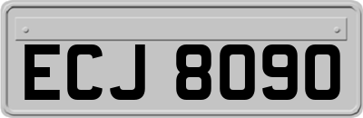 ECJ8090