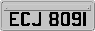 ECJ8091