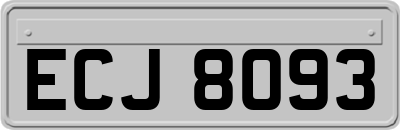ECJ8093