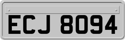 ECJ8094