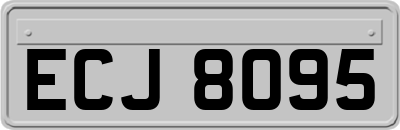 ECJ8095