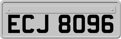 ECJ8096