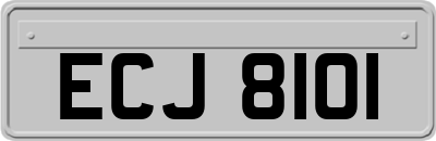 ECJ8101