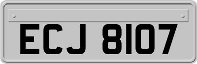 ECJ8107