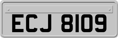 ECJ8109