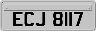 ECJ8117