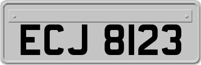 ECJ8123