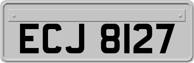 ECJ8127