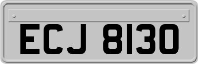 ECJ8130