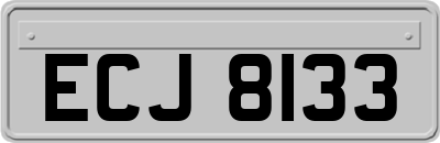 ECJ8133