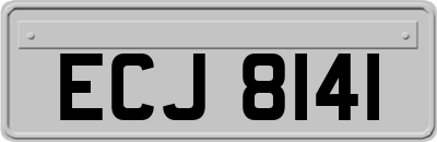 ECJ8141