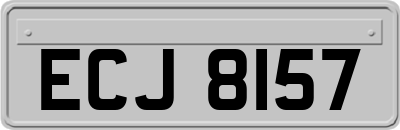 ECJ8157