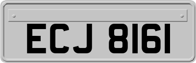 ECJ8161