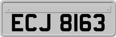ECJ8163
