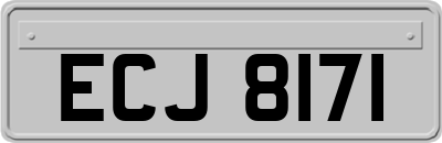 ECJ8171