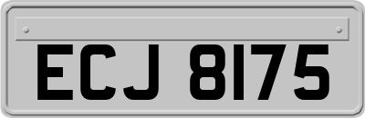 ECJ8175