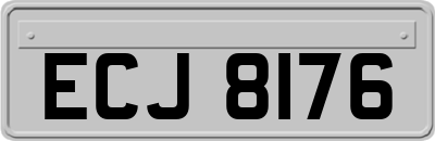 ECJ8176