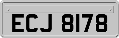 ECJ8178