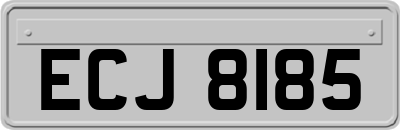 ECJ8185