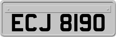 ECJ8190