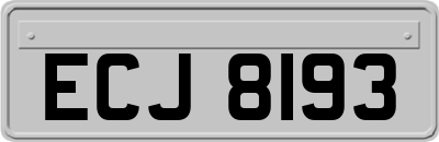ECJ8193