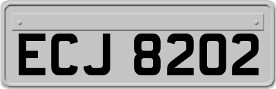 ECJ8202