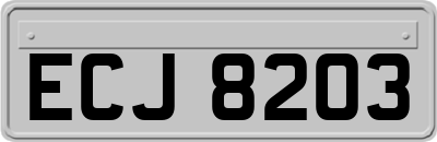 ECJ8203