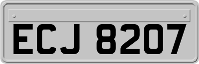 ECJ8207