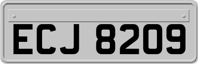 ECJ8209