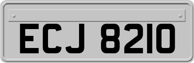 ECJ8210