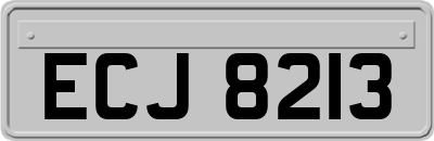 ECJ8213