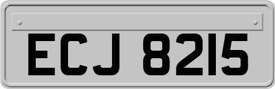 ECJ8215