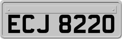 ECJ8220