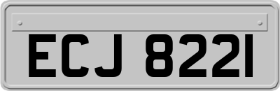 ECJ8221