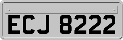 ECJ8222