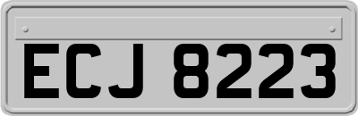 ECJ8223