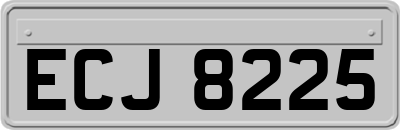 ECJ8225