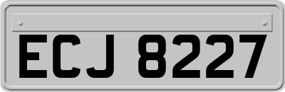 ECJ8227