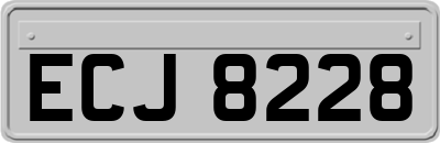 ECJ8228