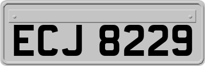 ECJ8229