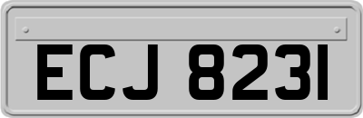 ECJ8231
