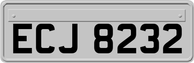 ECJ8232