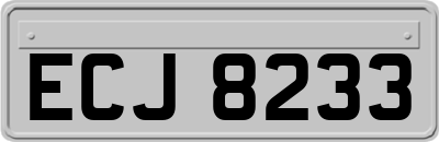 ECJ8233